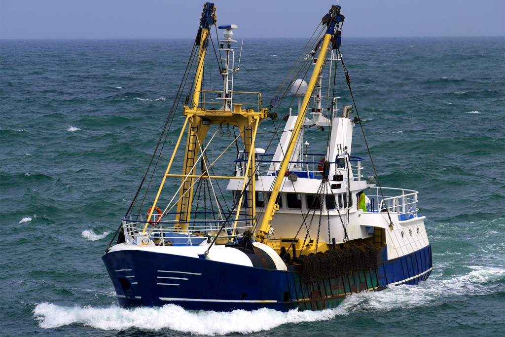 Article image for Fisheries in Focus: Busting misconceptions about bottom trawling and its environmental impacts