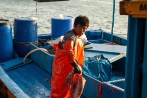 Study: Organizing artisanal fishers and processors improves fisheries management