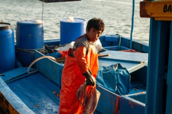 Article image for Study: Organizing artisanal fishers and processors improves fisheries management