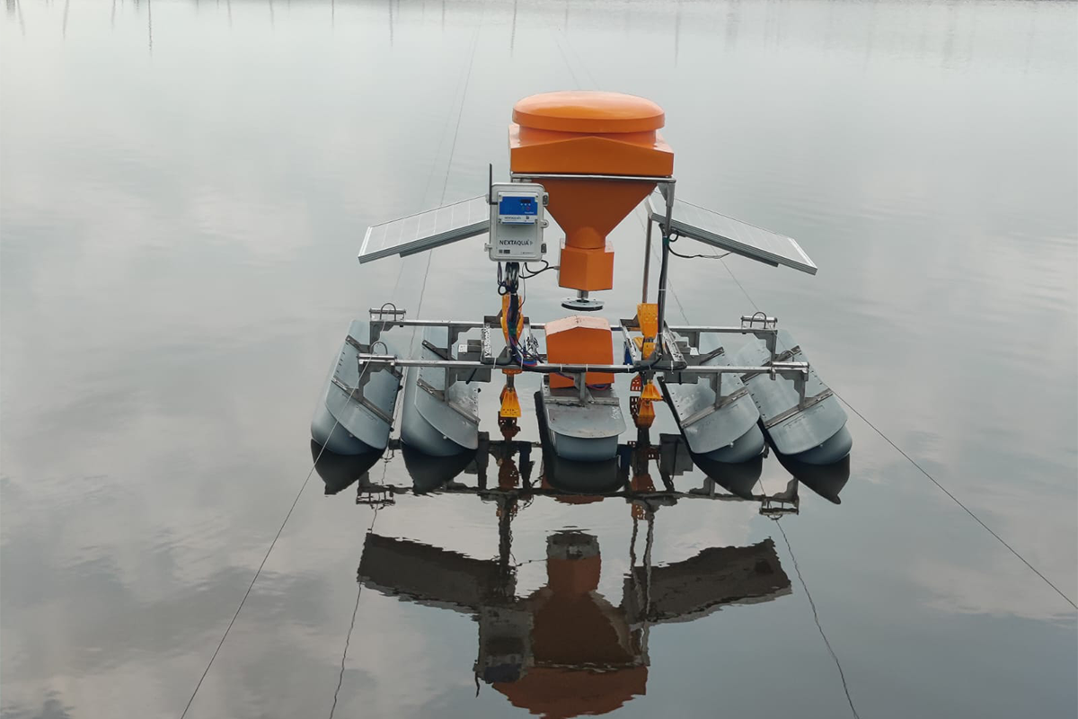 shrimp farmin in india