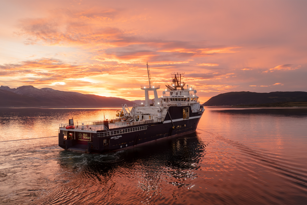 Article image for Norway banned scallop harvesting in the Barents Sea. Responsible Seafood Innovation Award finalist Ava Ocean delivered a tech solution.