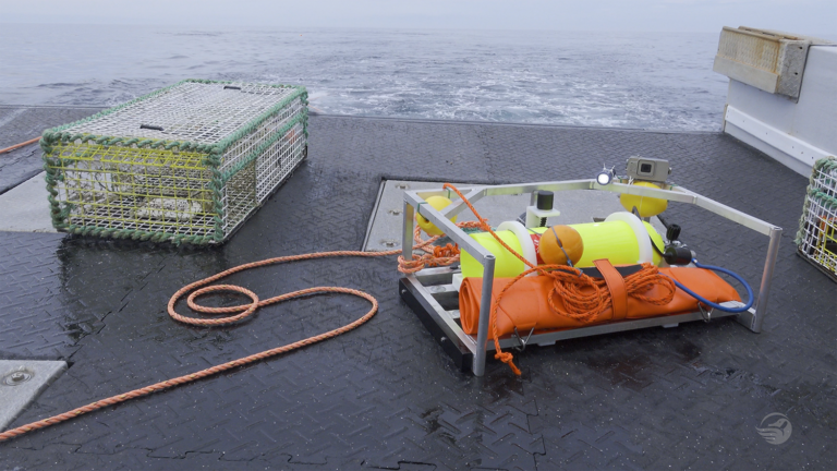 Article image for Gear-lending program has harvesters working through closures and trying ropeless fishing gear without commitment