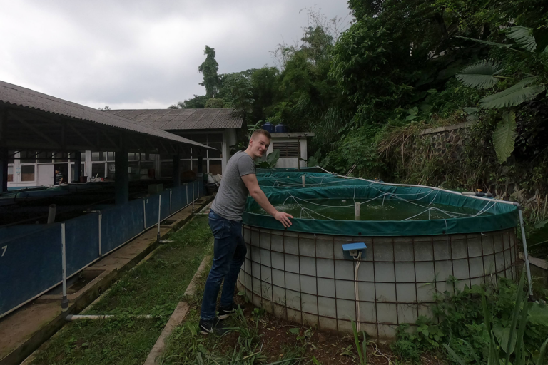 Article image for Responsible Seafood Innovation Award finalist Cresponix is rethinking land-based shrimp farming