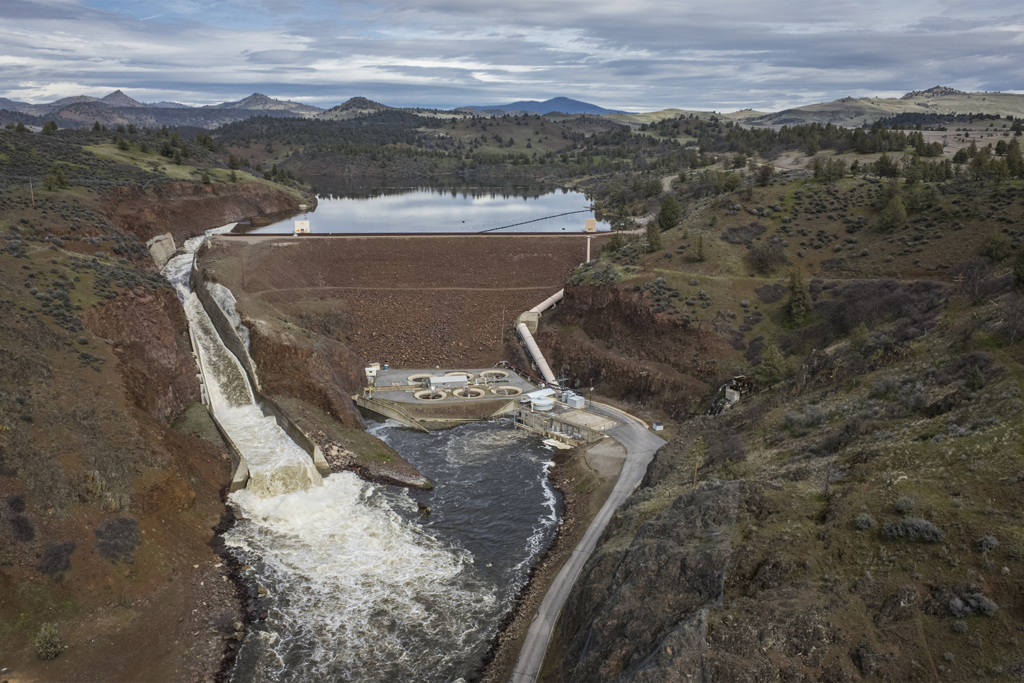 Article image for Can dam removal actually restore fish populations in U.S. rivers?