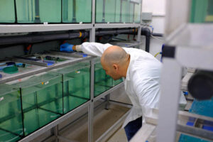 ViAqua Therapeutics secures funding for RNA-based aquaculture disease management