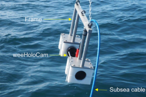 Could holographic cameras and AI technology lead to an early warning system for sea lice in the ocean?