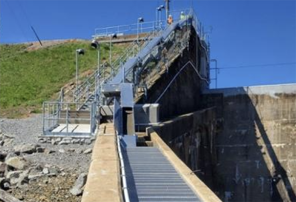 Article image for Make way for eels: New fish passage restores access to 1,000 miles of previously blocked North Carolina habitat