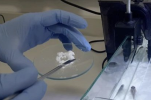 Novel biomaterial may help combat antimicrobial resistance in fish