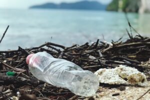 Is biodegradable plastic harmful to fish?