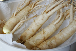 Effect of Chinese ginseng water extract on immune responses and digestive enzymes in Pacific white shrimp