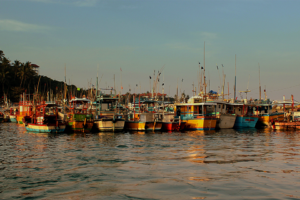 In efforts to enhance transparency in fisheries, the ultimate beneficial owner comes into focus