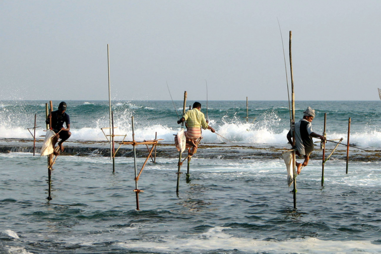 Article image for Small-scale marine fisheries and the global nutrient supply