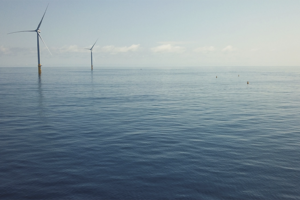 Can electronic tags fill knowledge gaps between offshore wind and fisheries?