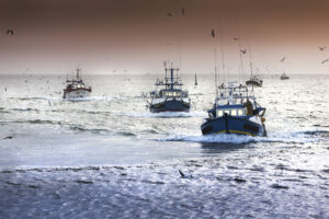 Fishing boat fleet
