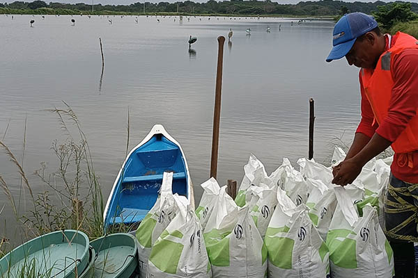 Article image for Collaboration launches low-impact shrimp from Ecuador on the French market