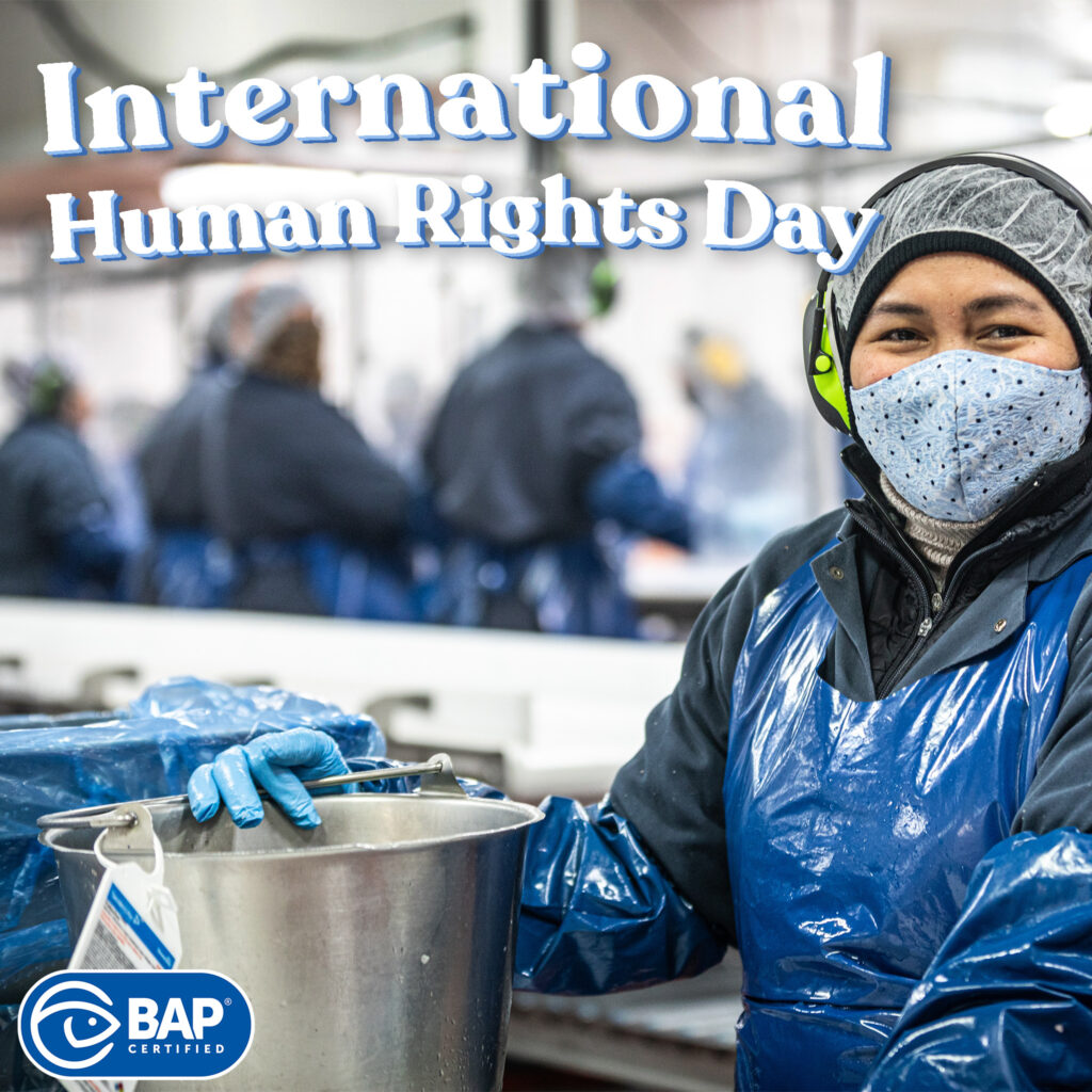 Article image for Navigating the Depths: Advancing Human Rights in the Seafood Industry