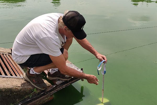Article image for Use of copper sulfate in fish and shrimp ponds