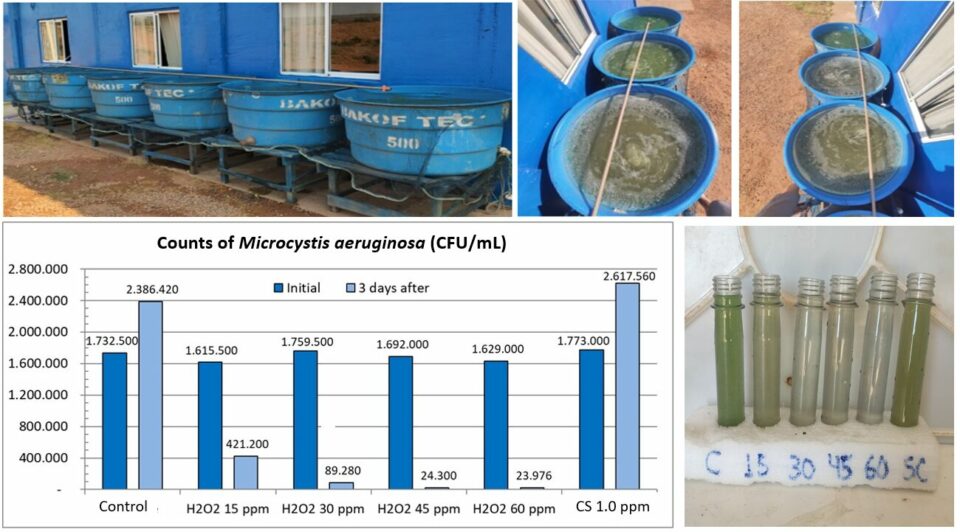 Use of copper sulfate in fish and shrimp ponds Responsible Seafood