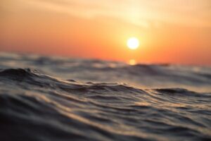Can the ocean store more carbon than previously believed?