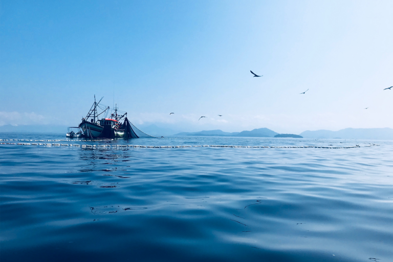 Article image for Putting IUU fishing on the map: Global Fishing Watch intends to bring the invisible into view