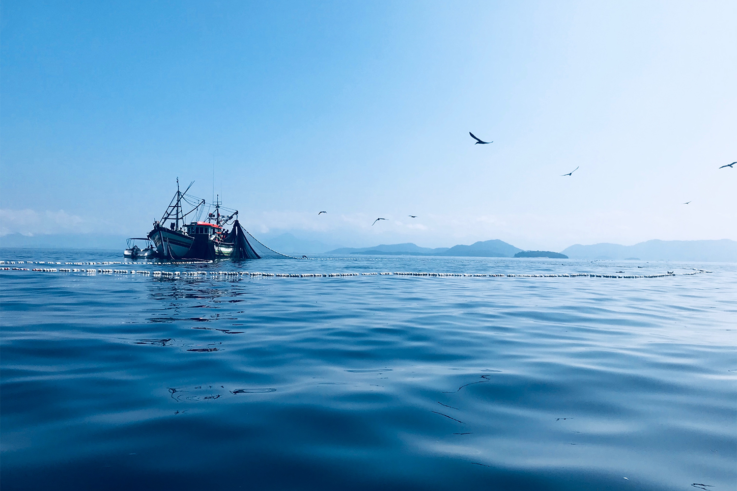 IUU fishing