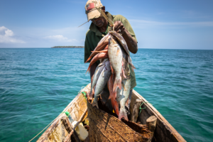 How computer science and artificial intelligence can enhance commercial fishing