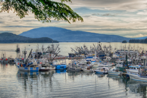nutrientes de los productos del mar
