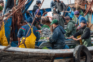How can the fishing industry address forced labor, with the scope more in focus?