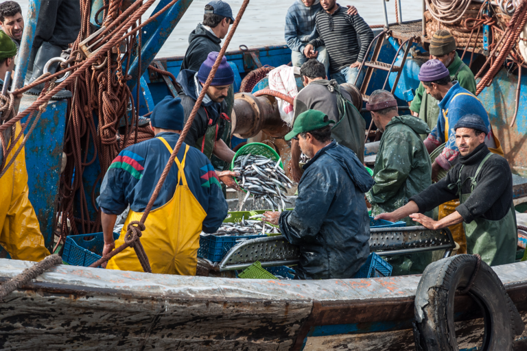 Article image for How can the fishing industry address forced labor, with the scope more in focus?