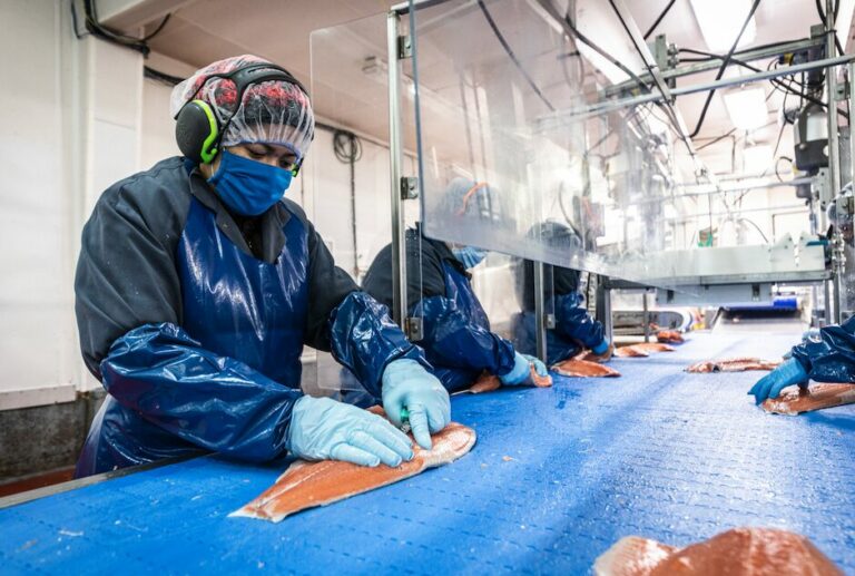 Featured image for GSA Seeks Pilots for Seafood Processing Standard Issue 6.0