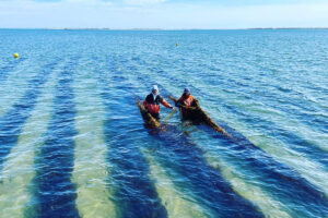 Meet the woman who’s pioneering commercial kelp farming in New York