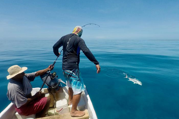 Article image for How ‘local solutions’ to climate change may help food security and access to seafood