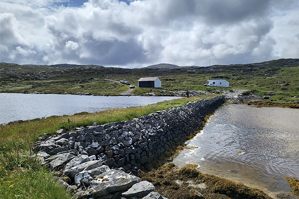 Article image for Salmon Scotland Wild Fisheries Fund boosts wild Atlantic salmon conservation initiatives