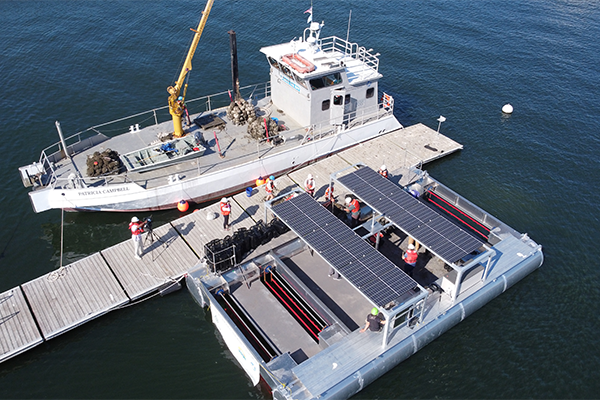 Article image for Solar Oysters and Blue Oyster Environmental launch solar-powered oyster production system