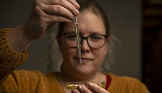 Image for article: Selective breeding represents a fresh hope for microalgae as a feed ingredient