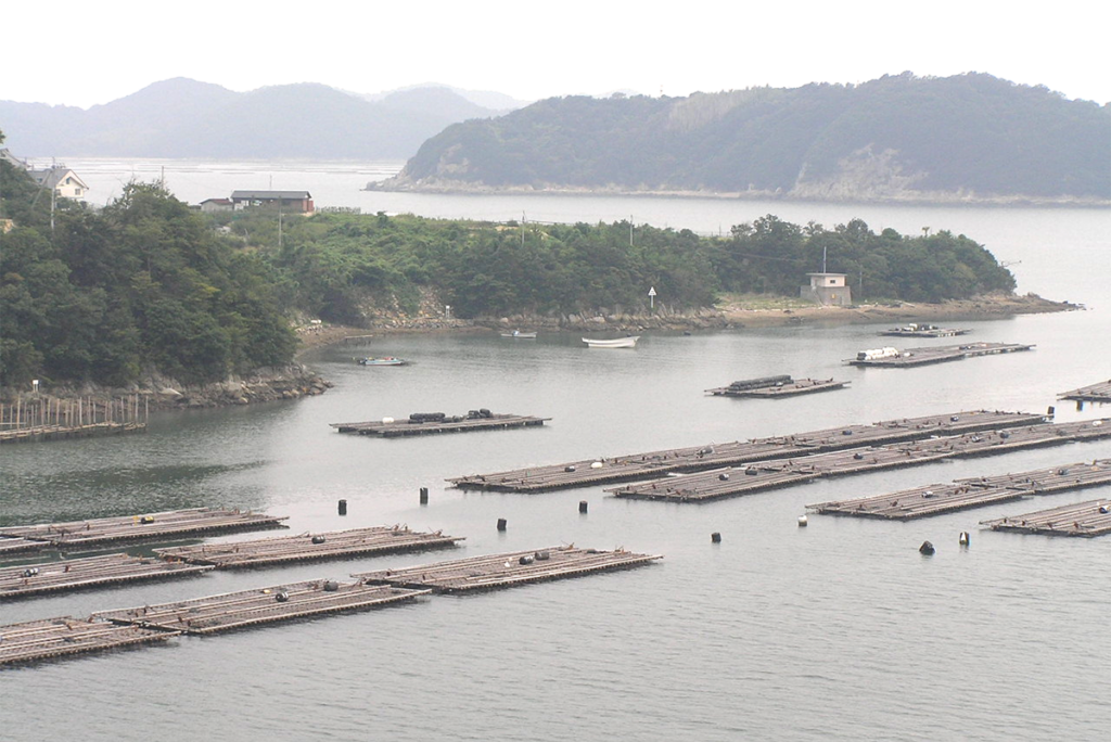 Article image for La huella global de la acuacultura de mariscos y algas y sus implicaciones para la producción, el impacto ambiental y la bioseguridad
