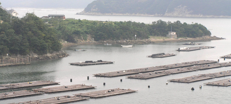 acuacultura de mariscos y algas