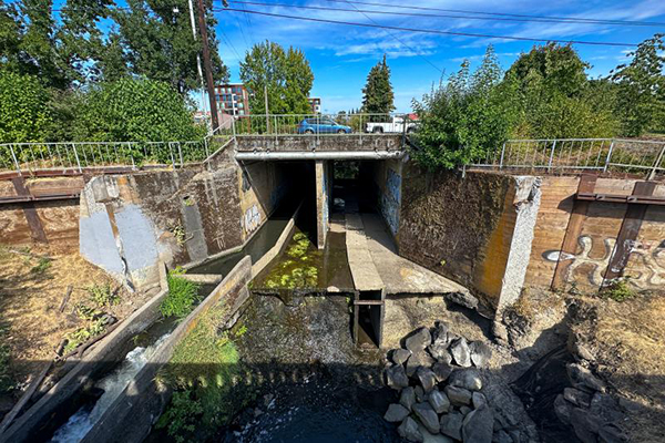 Article image for NOAA awards $15 million for Kellogg Dam removal to restore fish habitats