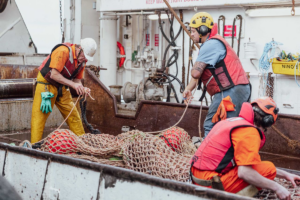 Defining and monitoring destructive fishing represents a new era in fisheries policy
