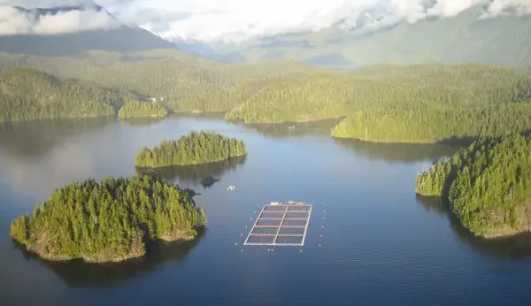 Salmon farm in British Columbia
