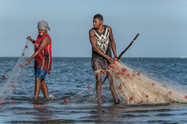 Article image for Consortium calls for increased equity in ocean conservation and climate action plans