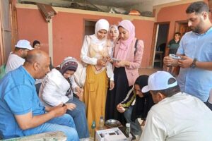 Egyptian workers complete farmed tilapia welfare training