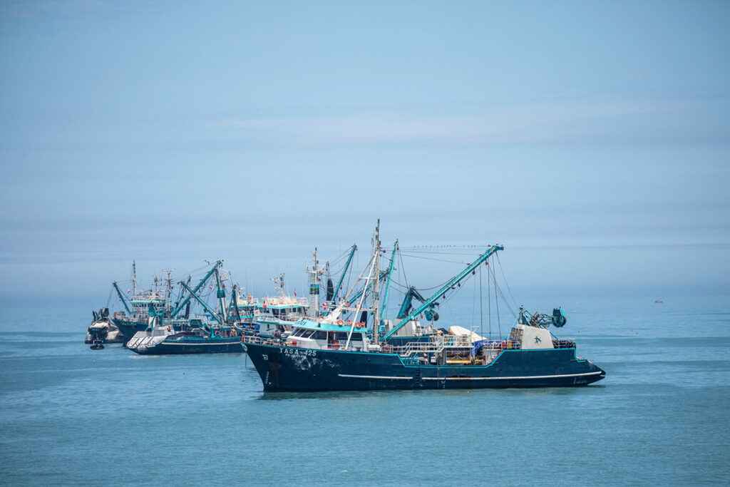 Responsible Fisheries Innovation Award Finalist: Global Fishing Watch’s ...