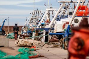 marine plastic pollution