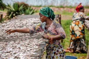 Study: Small-scale fisheries essential to global food security, livelihoods