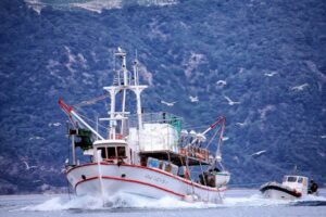 Report ties government subsidies to overfishing, urges stronger fisheries management