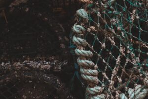 Scientists in Norway explore biodegradable fishing gear to tackle plastic pollution in the ocean