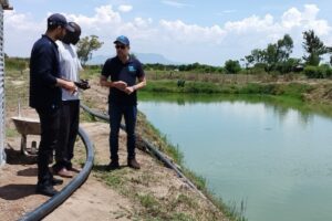 FAI app launch in Kenya aims to strengthen animal welfare in aquaculture