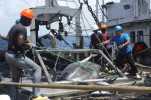 Bycatch release tools help boost crew safety and sustainability in tuna fisheries