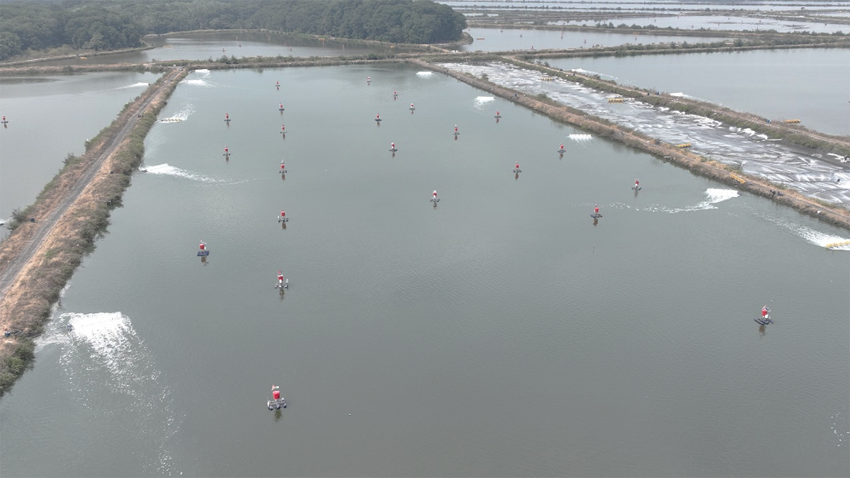 passive acoustic monitoring